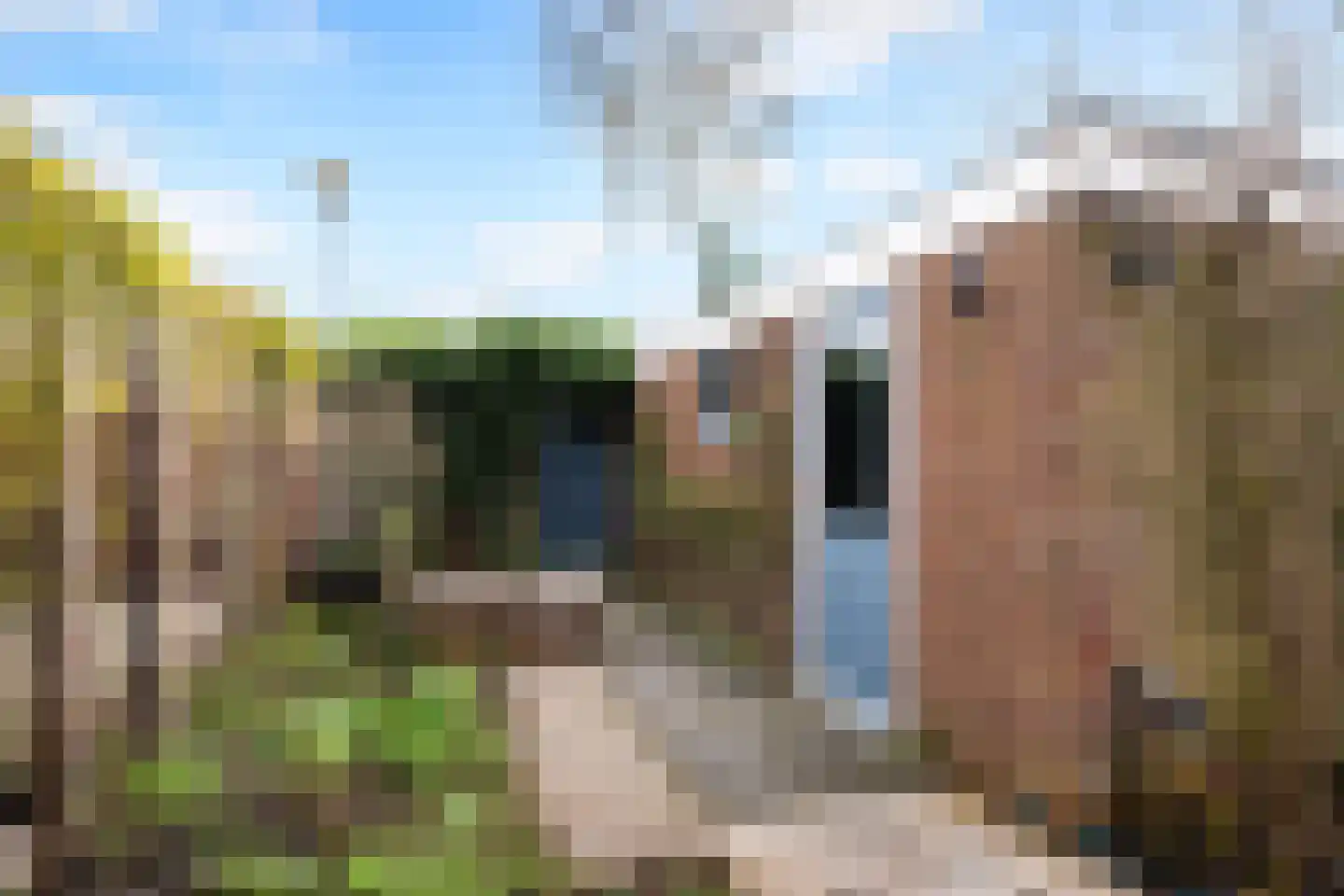 Esdoornlaan 40 Woerden thumbnail 23