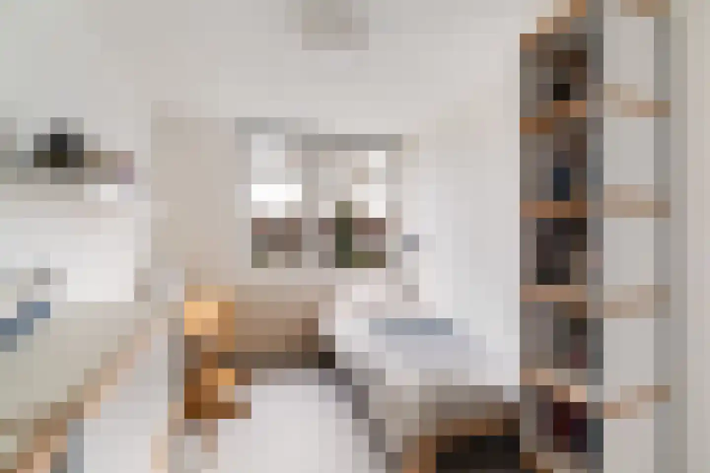 Esdoornlaan 40 Woerden thumbnail 36