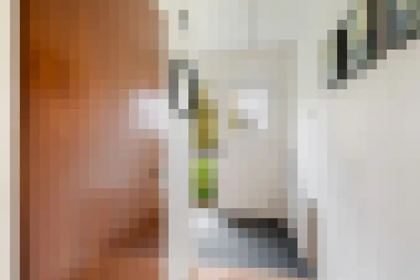 Esdoornlaan 40 Woerden thumbnail 4