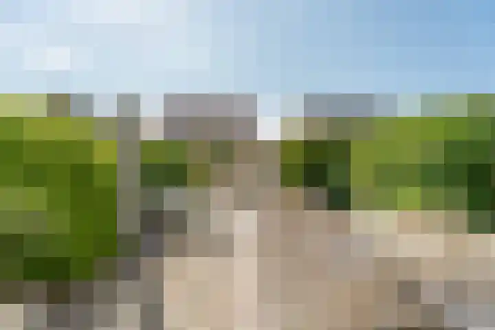 Esdoornlaan 45 Rijnsburg thumbnail 23