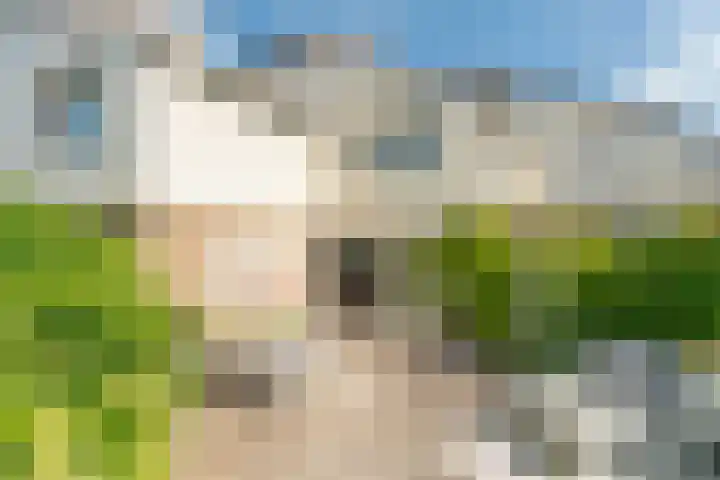 Esdoornlaan 45 Rijnsburg thumbnail 25