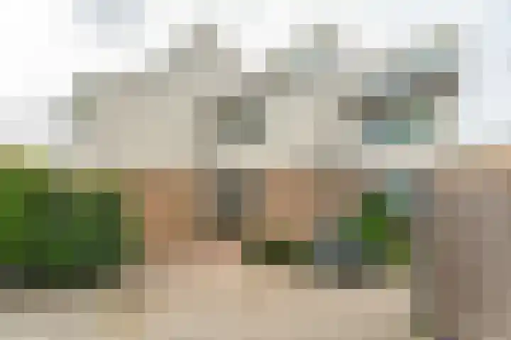 Esdoornlaan 45 Rijnsburg thumbnail 26