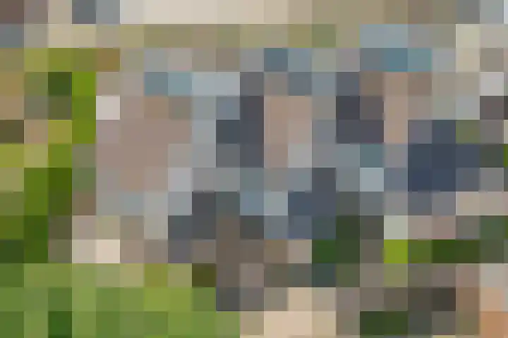 Esdoornlaan 45 Rijnsburg thumbnail 28