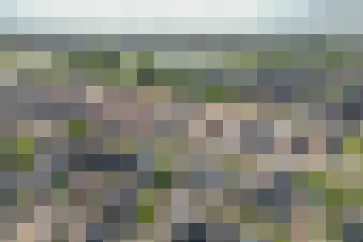 Esdoornlaan 45 Rijnsburg thumbnail 30
