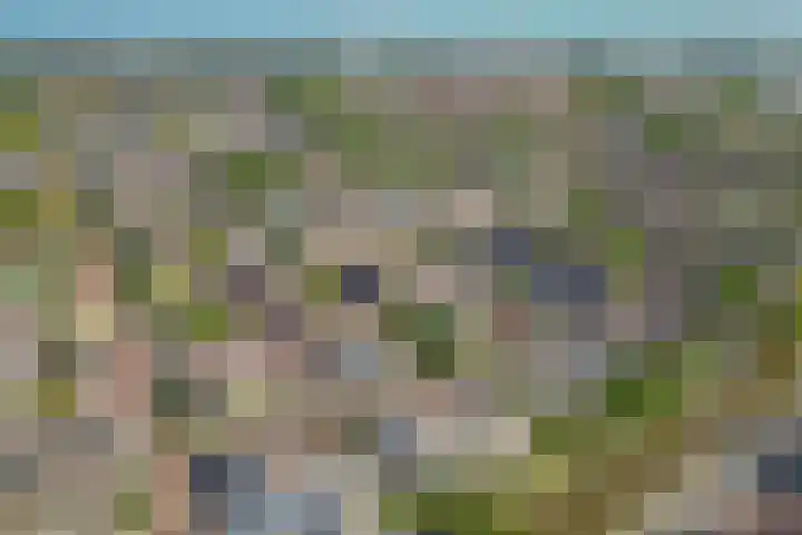 Esdoornlaan 45 Rijnsburg thumbnail 31