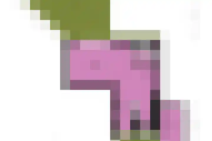 Esdoornlaan 45 Rijnsburg thumbnail 35