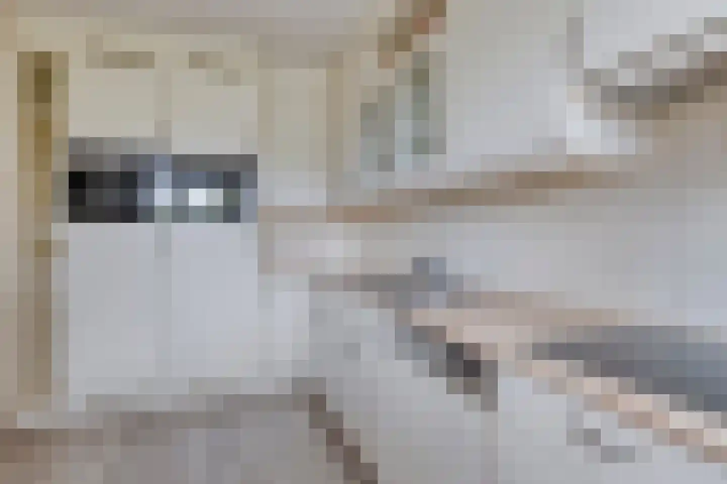 Esdoornlaan 46 Krimpen aan den IJssel thumbnail 16