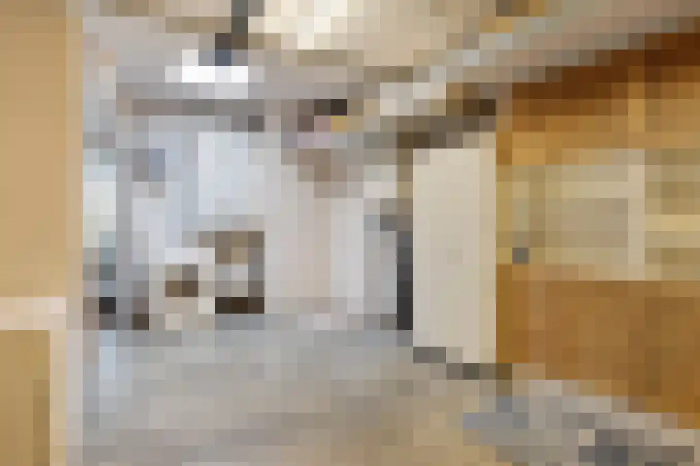 Esdoornlaan 46 Krimpen aan den IJssel thumbnail 29