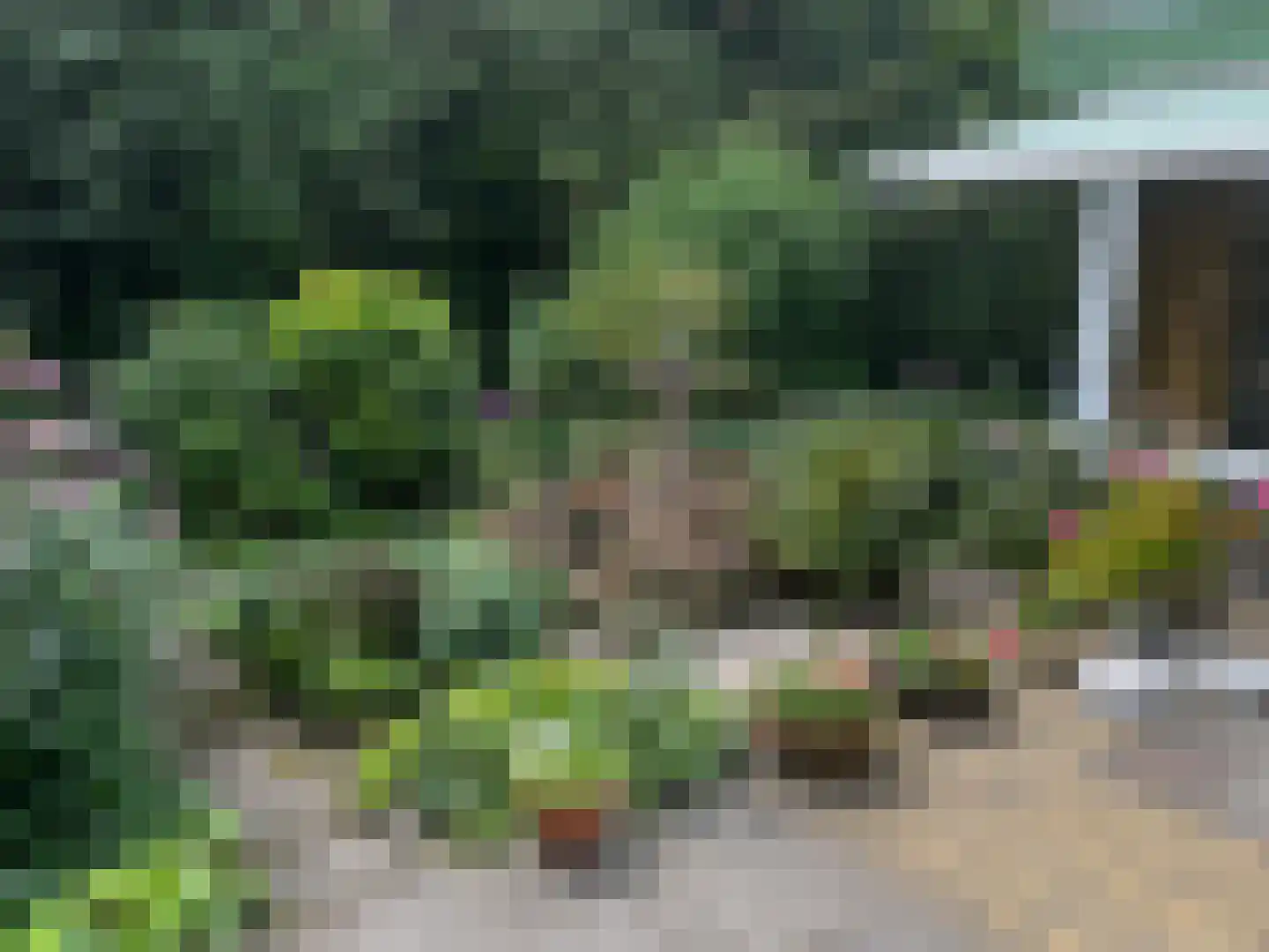 Esdoornlaan 46 Krimpen aan den IJssel thumbnail 36