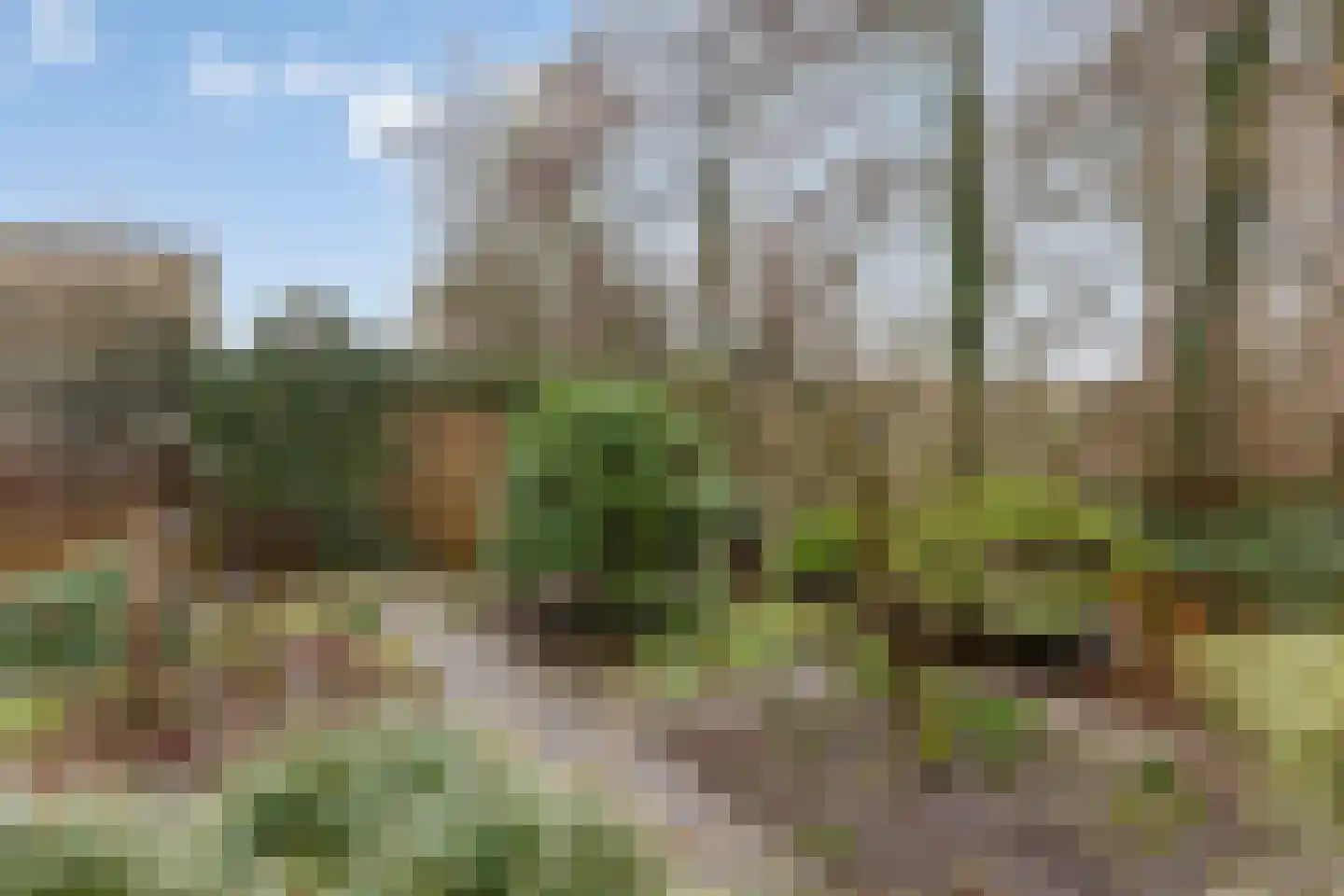 Esdoornlaan 46 Krimpen aan den IJssel thumbnail 39