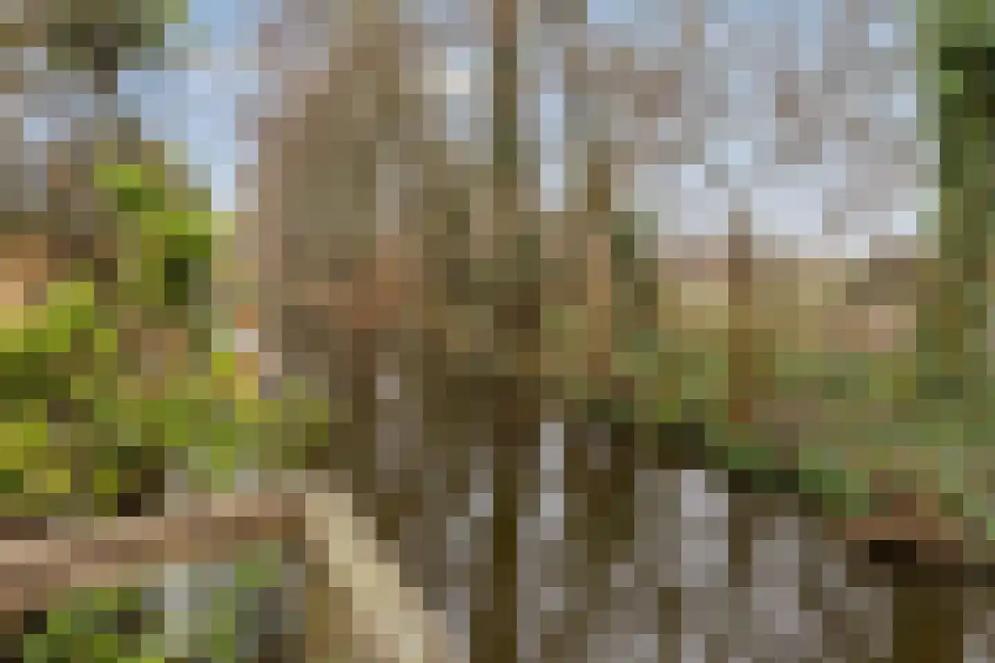Esdoornlaan 46 Krimpen aan den IJssel thumbnail 40