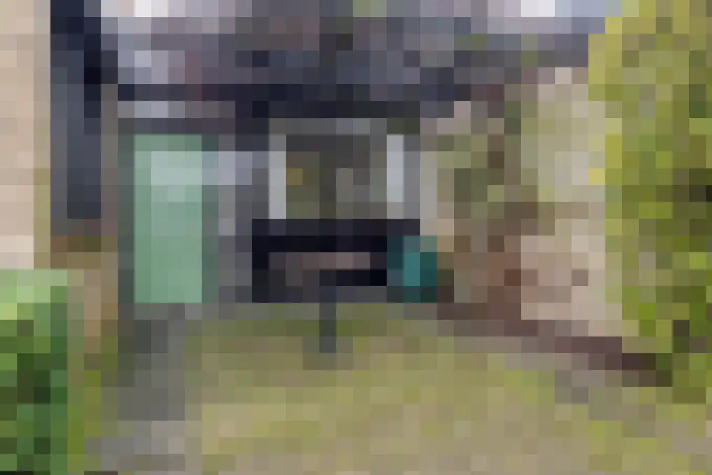 Esdoornlaan 46 Krimpen aan den IJssel thumbnail 41