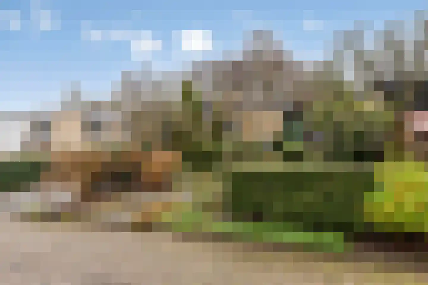 Esdoornlaan 46 Krimpen aan den IJssel thumbnail 43