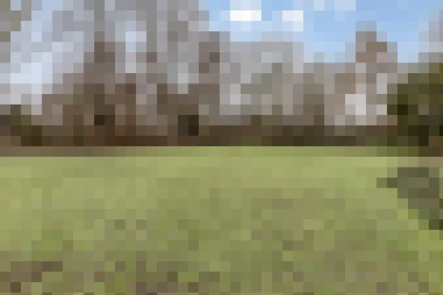 Esdoornlaan 46 Krimpen aan den IJssel thumbnail 45