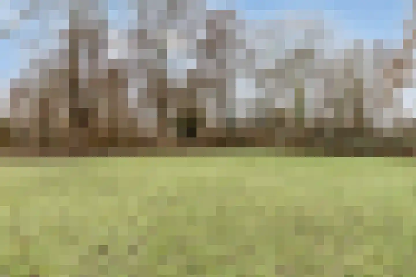Esdoornlaan 46 Krimpen aan den IJssel thumbnail 46