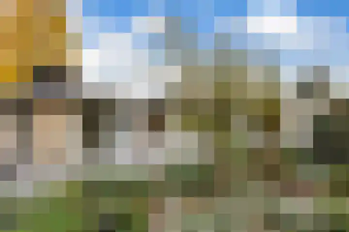 Esdoornlaan 48 Krimpen aan den IJssel thumbnail 12