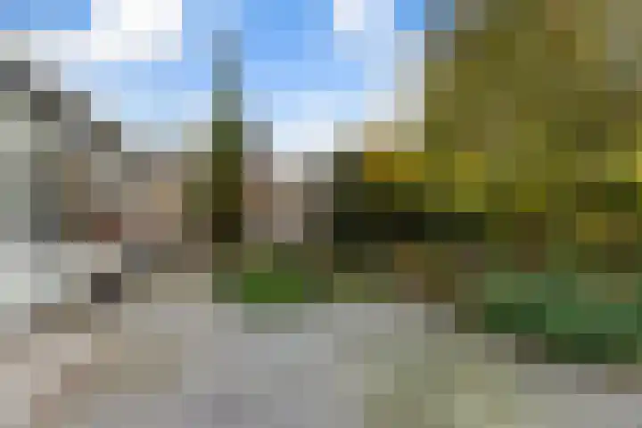 Esdoornlaan 48 Krimpen aan den IJssel thumbnail 13