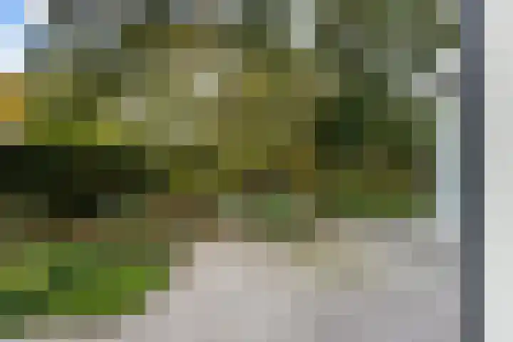 Esdoornlaan 48 Krimpen aan den IJssel thumbnail 14