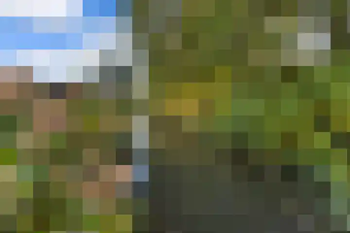 Esdoornlaan 48 Krimpen aan den IJssel thumbnail 15