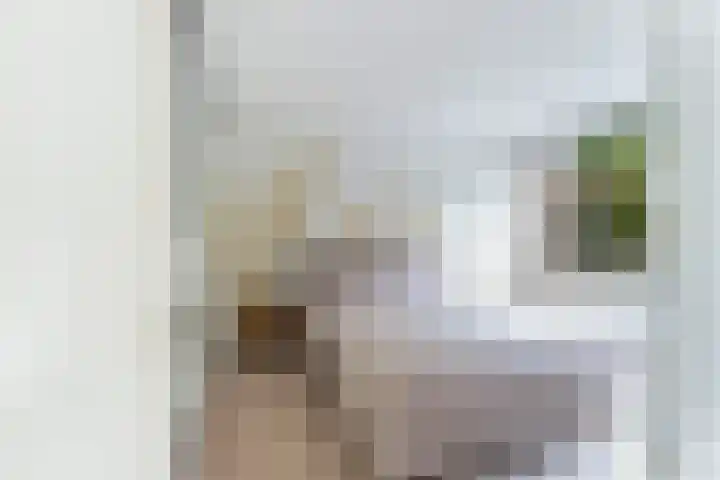 Esdoornlaan 48 Krimpen aan den IJssel thumbnail 24