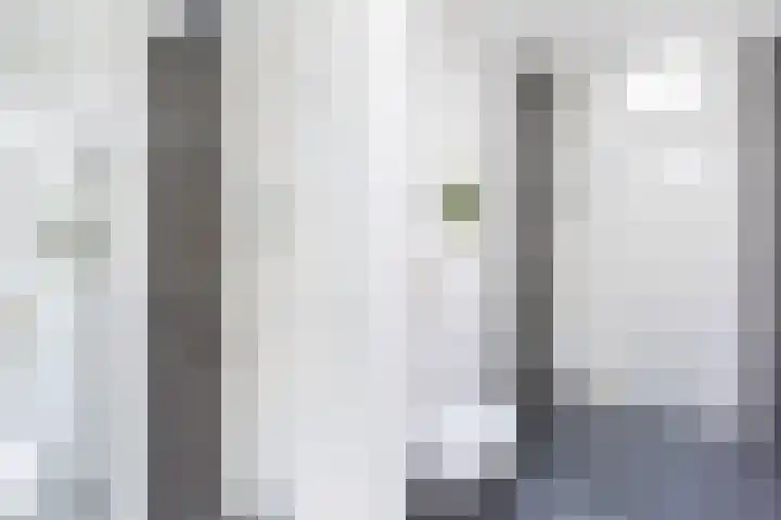 Esdoornlaan 48 Krimpen aan den IJssel thumbnail 29