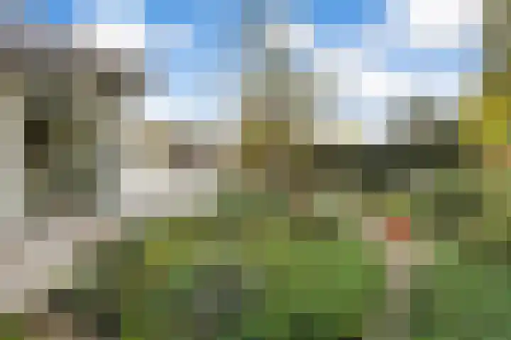 Esdoornlaan 48 Krimpen aan den IJssel foto 3