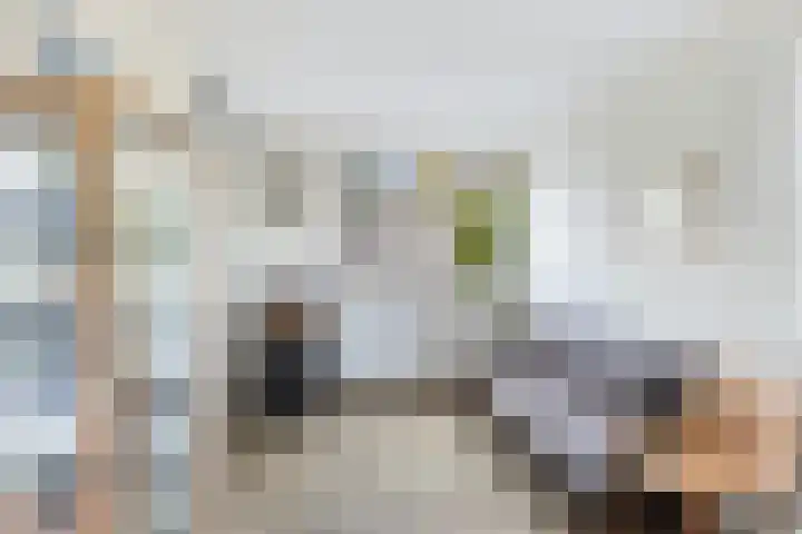 Esdoornlaan 48 Krimpen aan den IJssel thumbnail 32