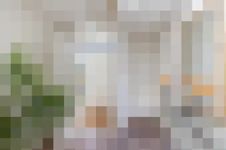 Esdoornlaan 48 Krimpen aan den IJssel thumbnail 34