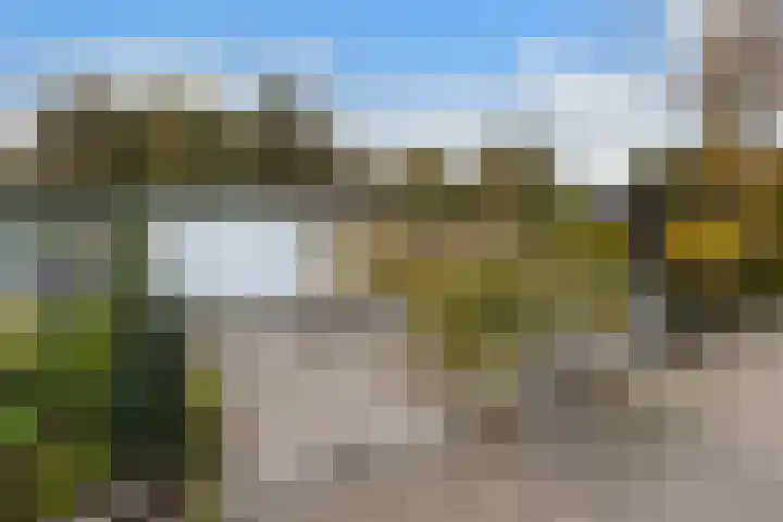 Esdoornlaan 48 Krimpen aan den IJssel thumbnail 37