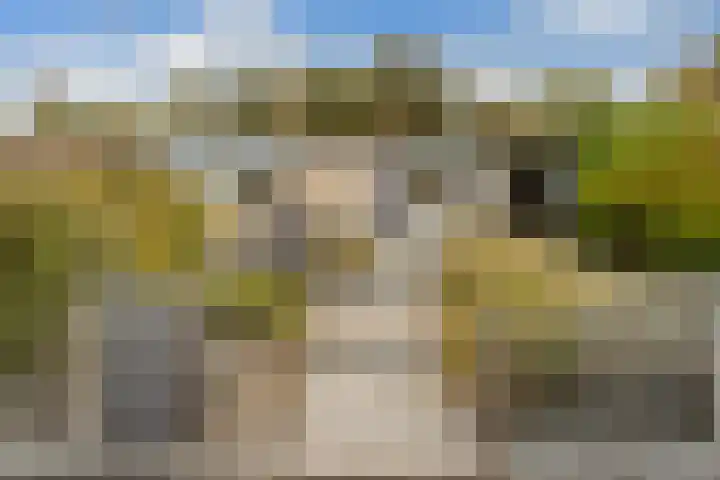 Esdoornlaan 48 Krimpen aan den IJssel thumbnail 38