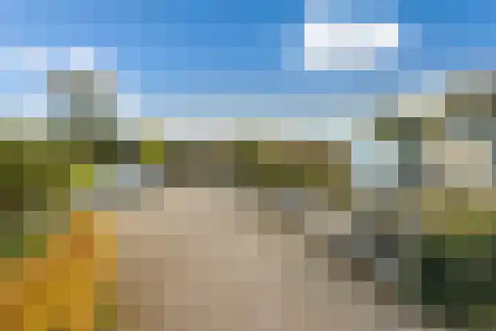 Esdoornlaan 48 Krimpen aan den IJssel thumbnail 40