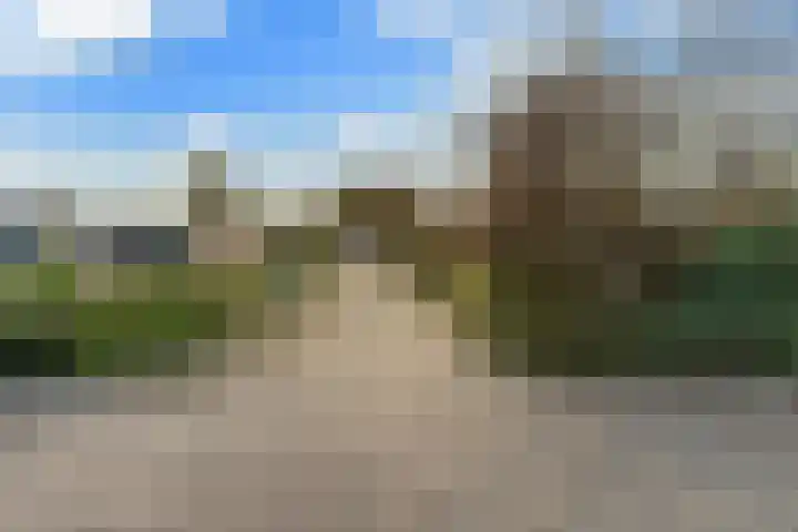 Esdoornlaan 48 Krimpen aan den IJssel thumbnail 41