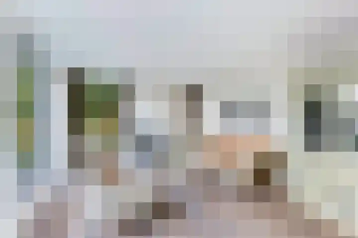 Esdoornlaan 48 Krimpen aan den IJssel thumbnail 6