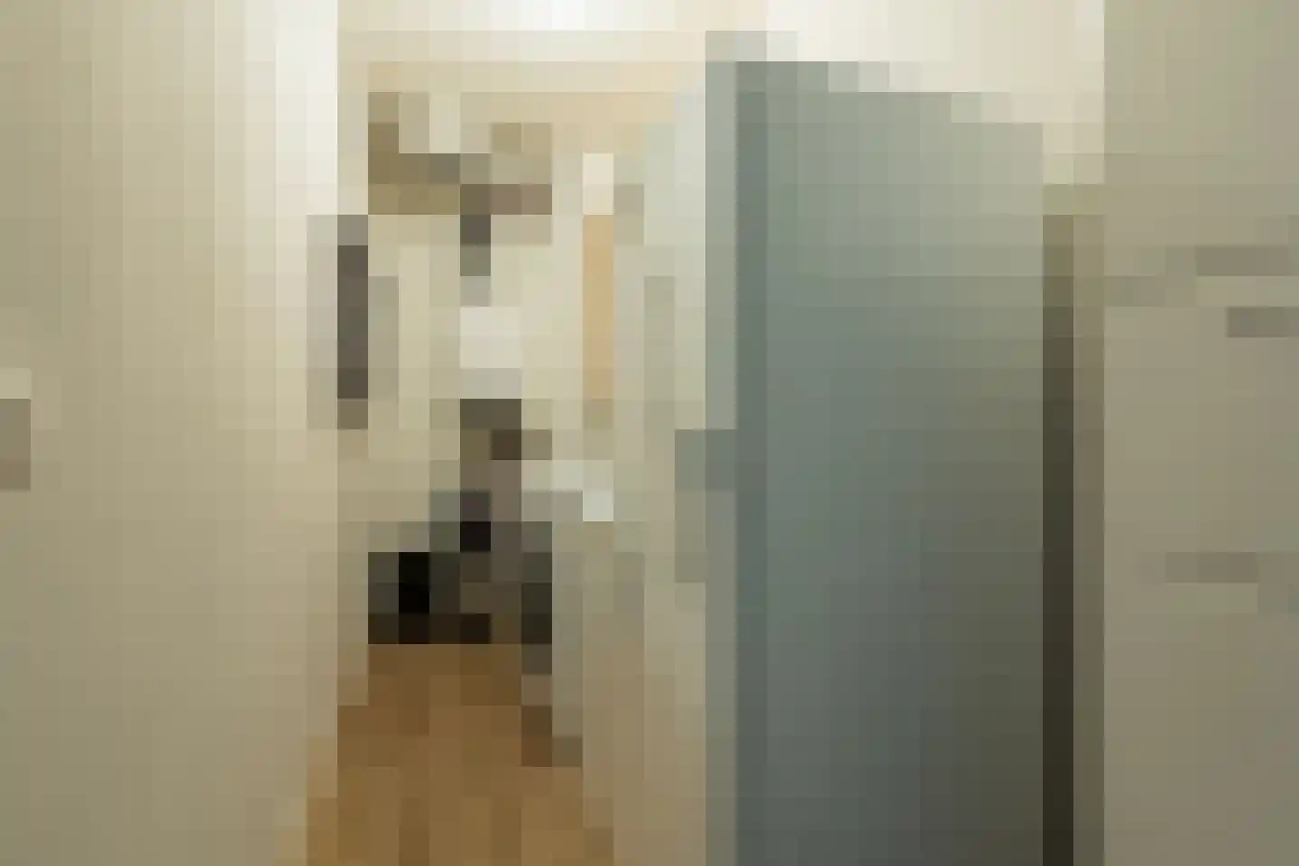 Esdoornlaan 5 Beilen thumbnail 24