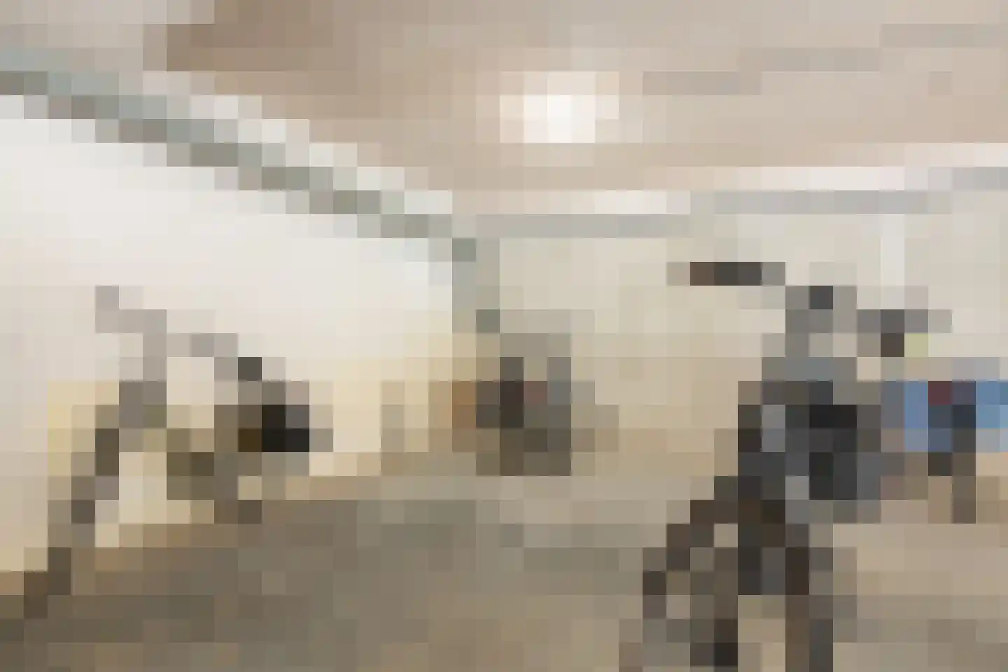 Esdoornlaan 5 Beilen thumbnail 28