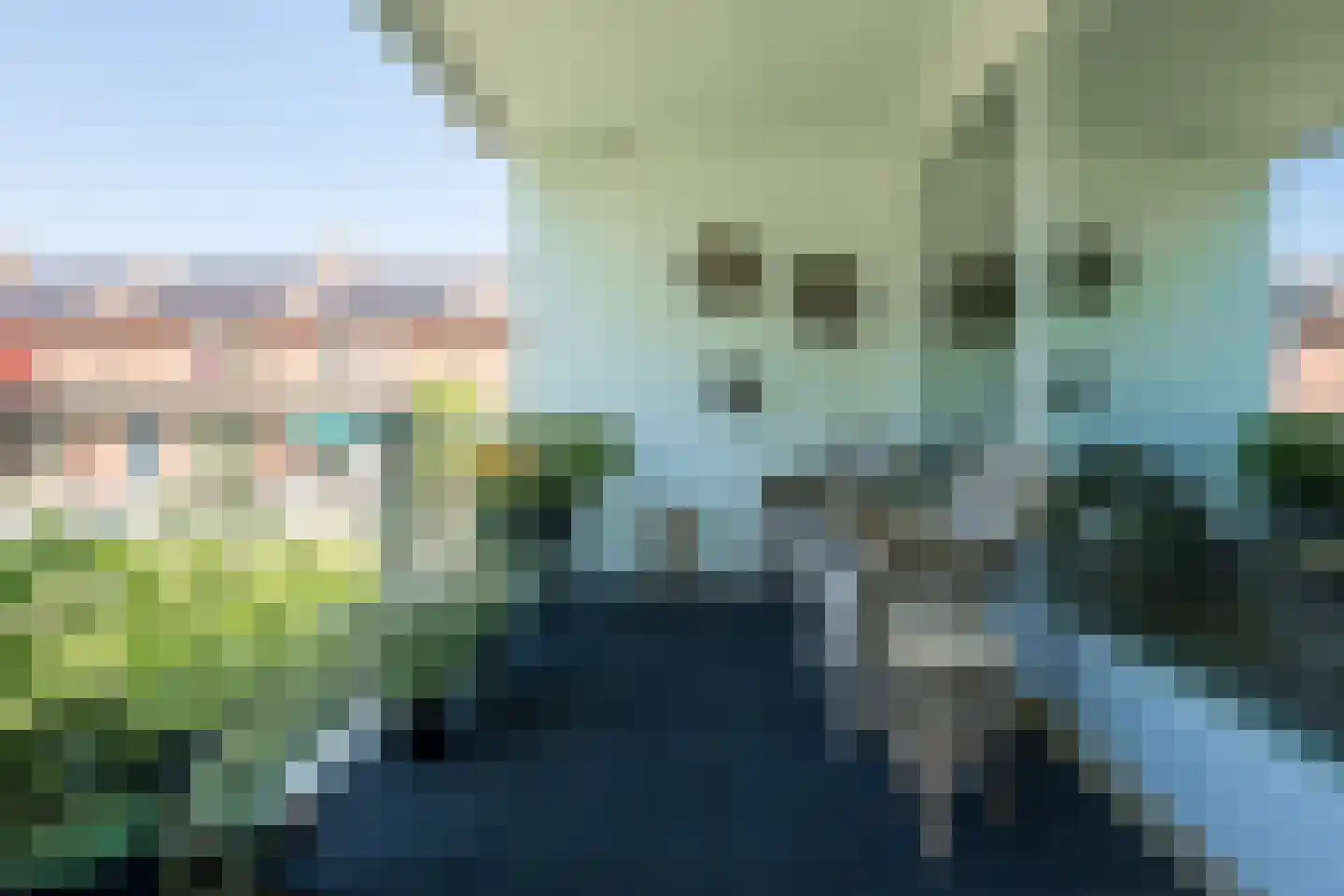 Esdoornlaan 5 Beilen thumbnail 9