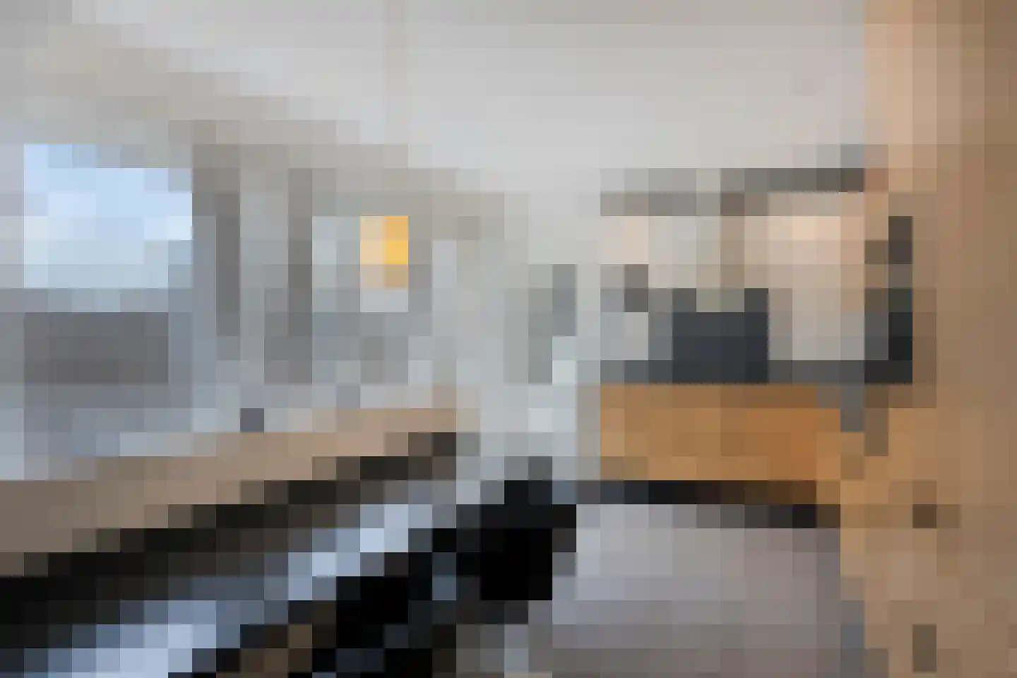 Esdoornlaan 5 Eijsden thumbnail 12