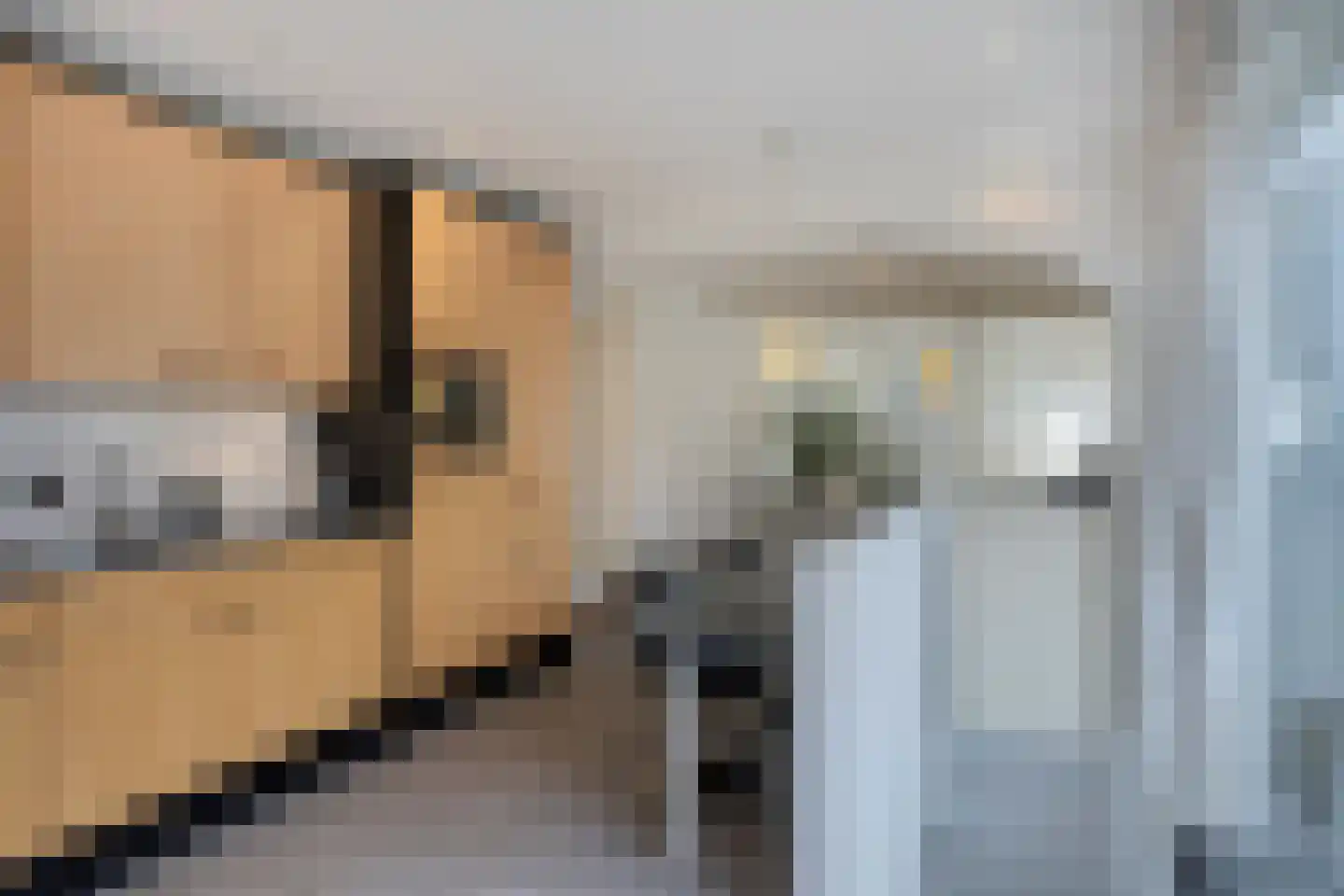 Esdoornlaan 5 Eijsden thumbnail 13