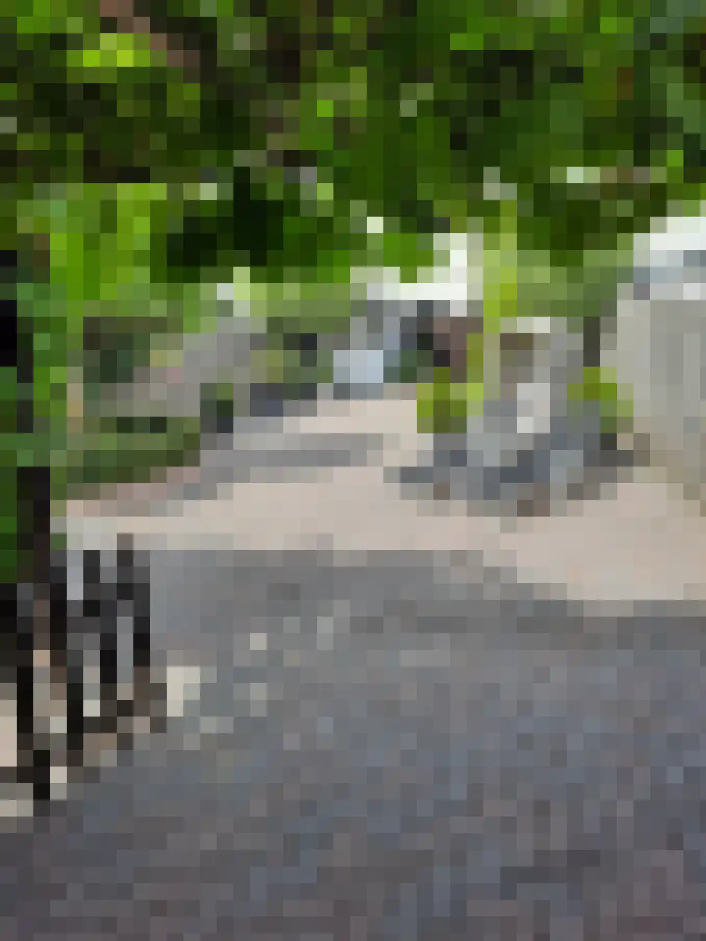 Esdoornlaan 5 Eijsden thumbnail 29