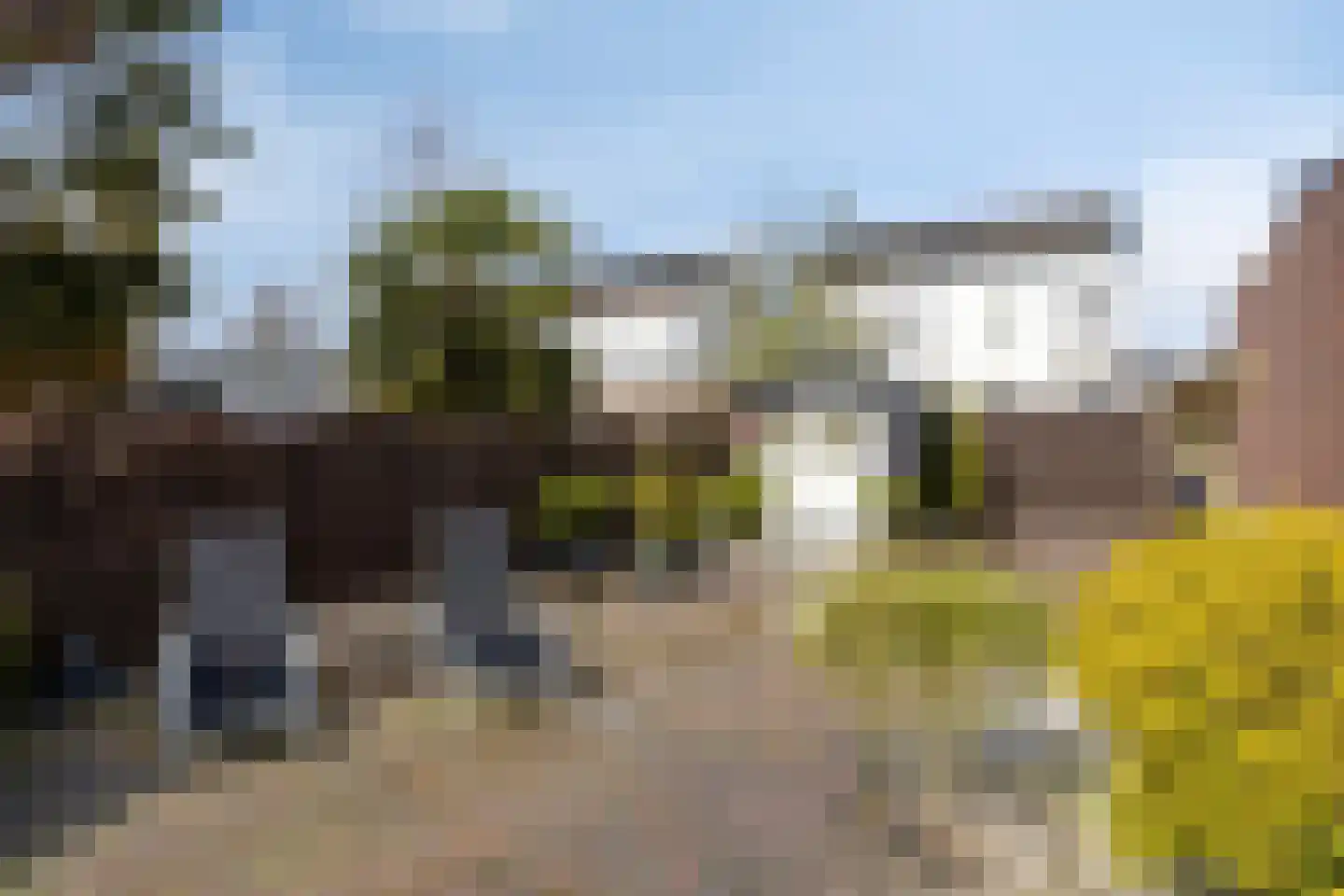 Esdoornlaan 5 Eijsden thumbnail 32