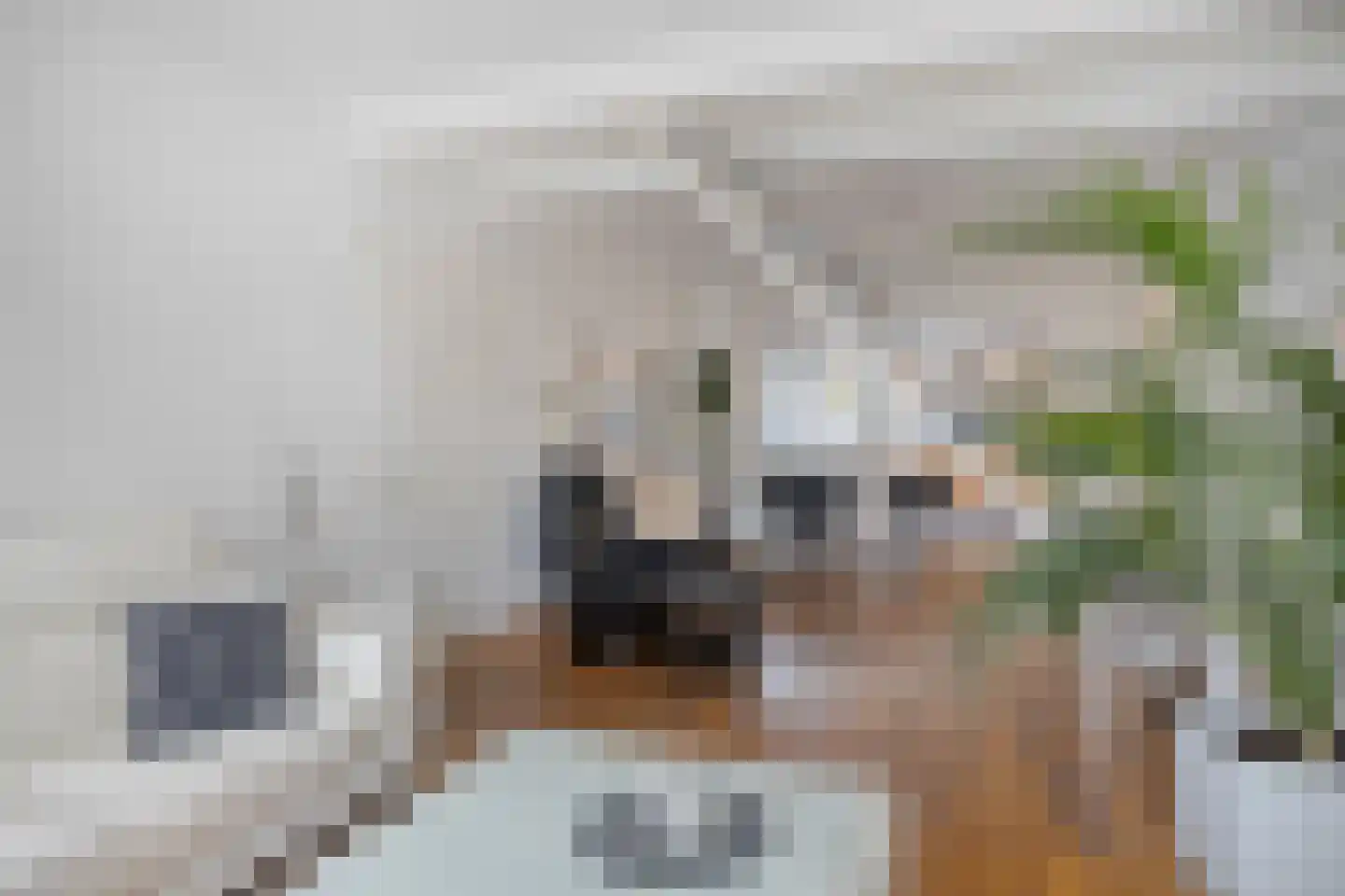 Esdoornlaan 5 Eijsden thumbnail 8