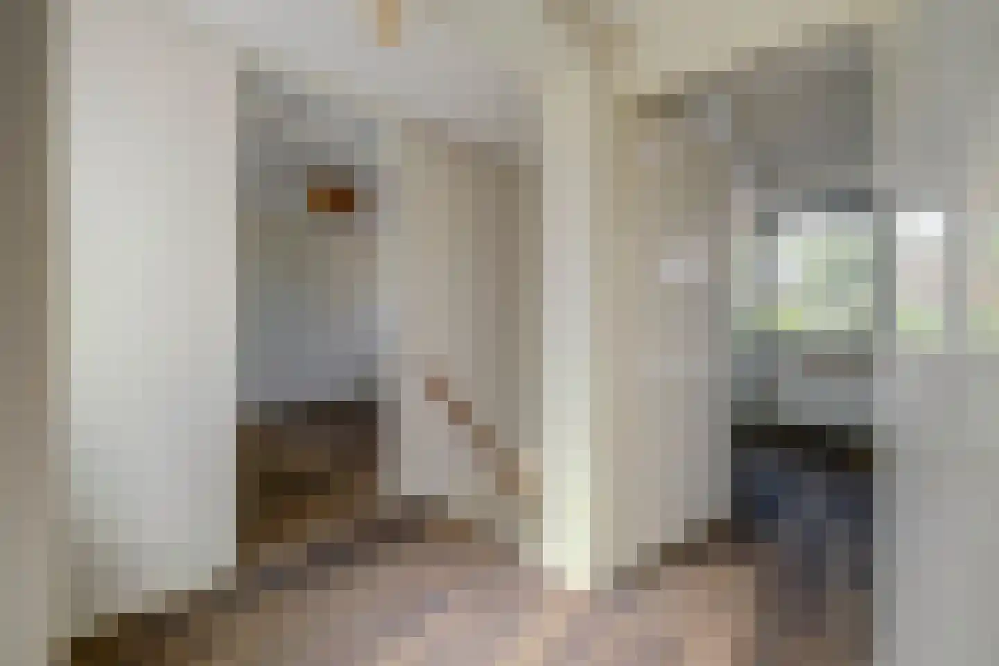 Esdoornlaan 5 Hellevoetsluis thumbnail 11