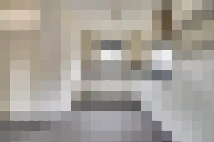 Esdoornlaan 5 Hellevoetsluis thumbnail 13