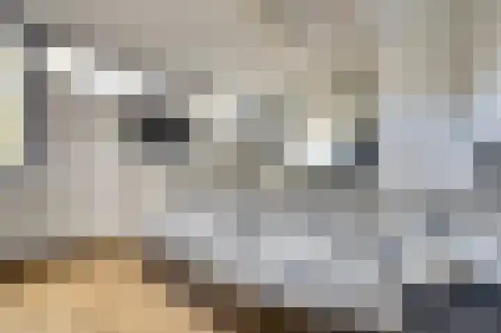 Esdoornlaan 5 Hellevoetsluis thumbnail 17