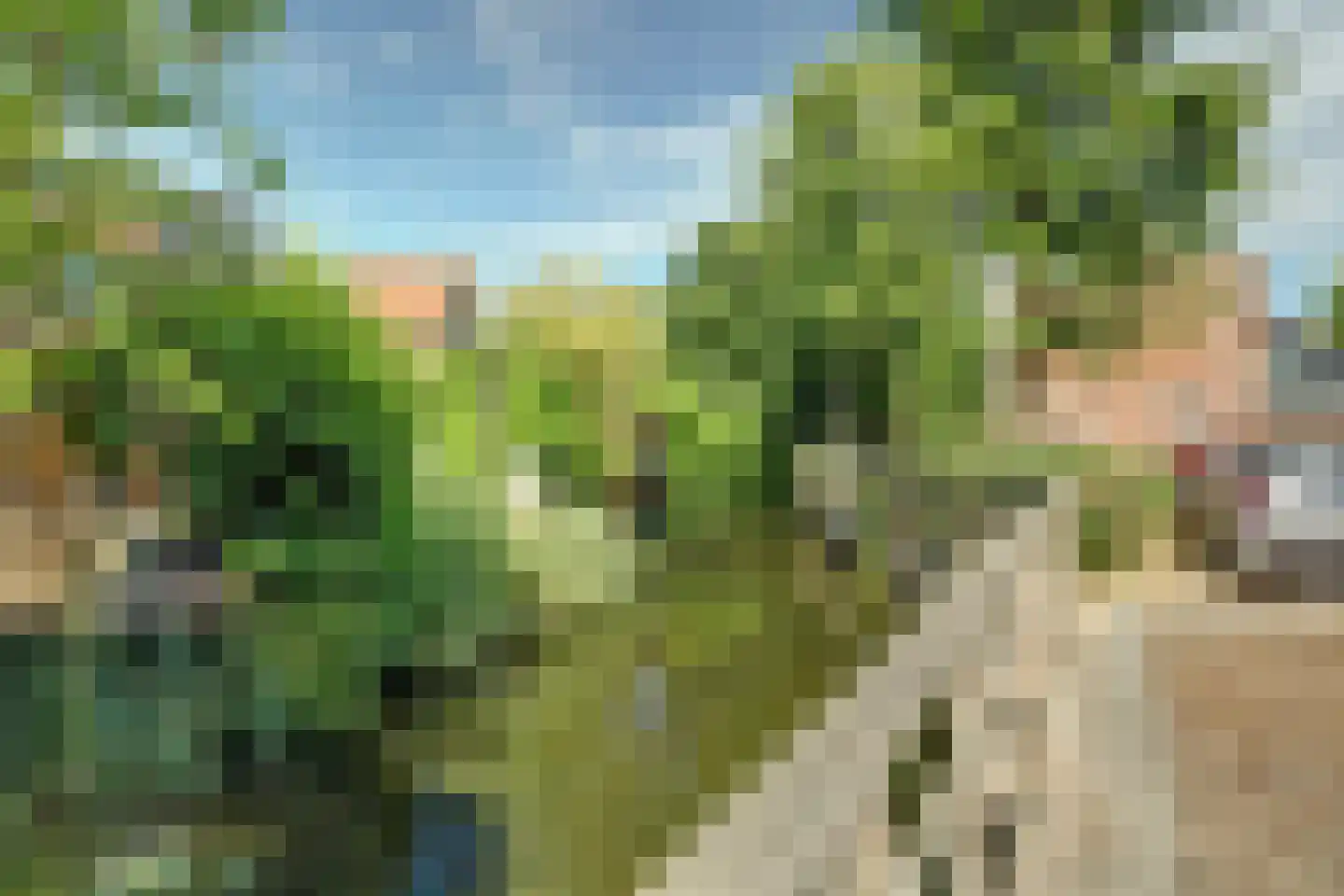 Esdoornlaan 5 Hellevoetsluis thumbnail 22