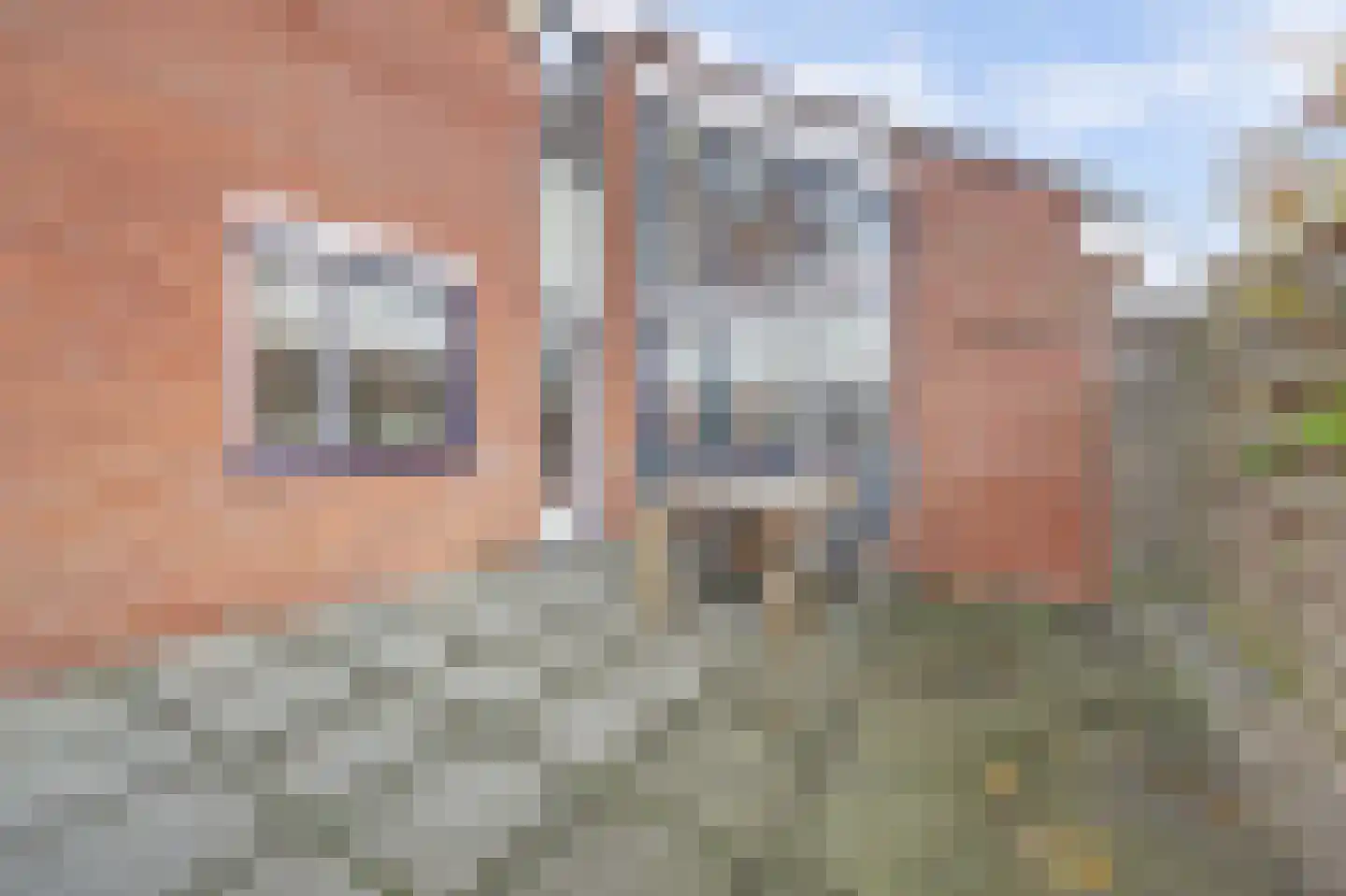 Esdoornlaan 5 Hellevoetsluis thumbnail 29