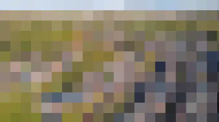 Esdoornlaan 5 Hellevoetsluis thumbnail 31