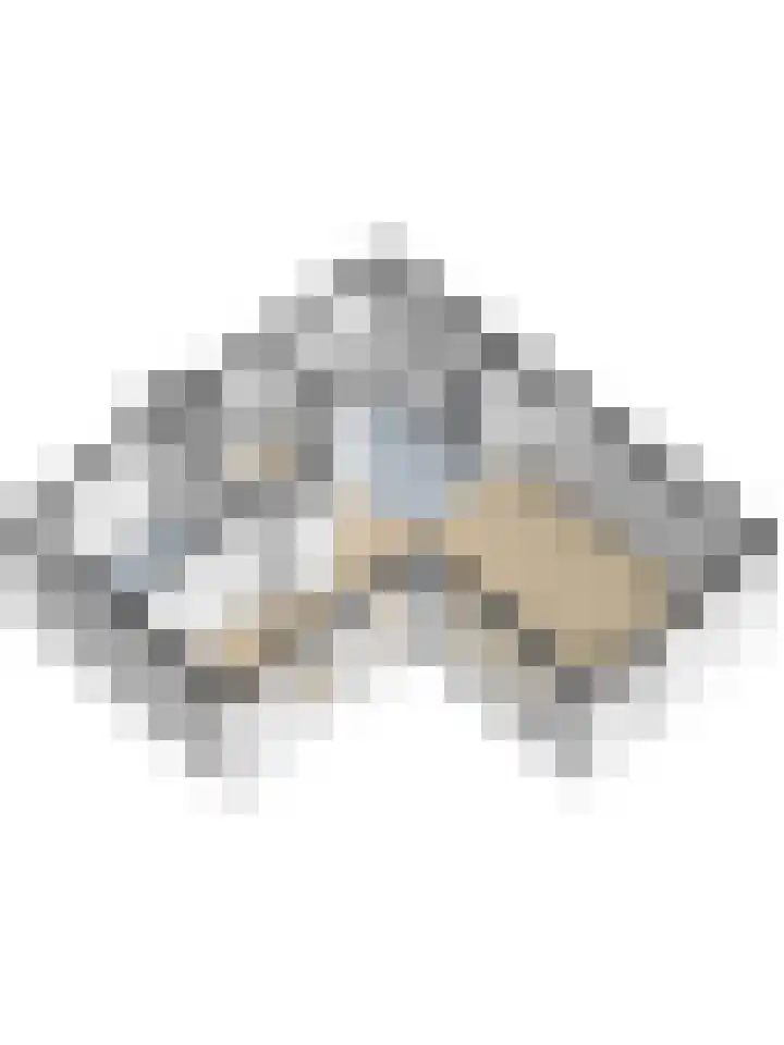 Esdoornlaan 5 Hellevoetsluis thumbnail 39