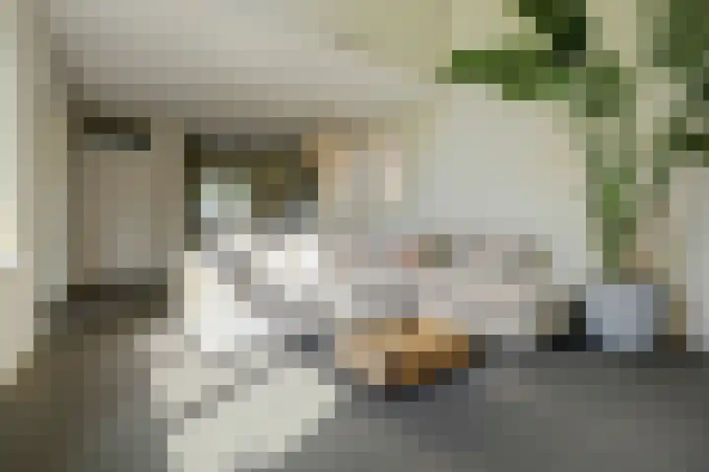 Esdoornlaan 5 Hellevoetsluis thumbnail 4