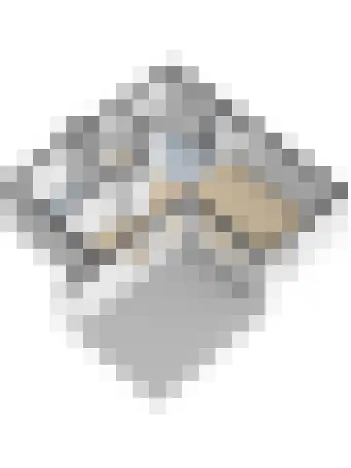 Esdoornlaan 5 Hellevoetsluis thumbnail 40